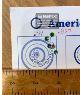 Ballistic-X-Export-2020-04-17 16_51_52.823254.PNG