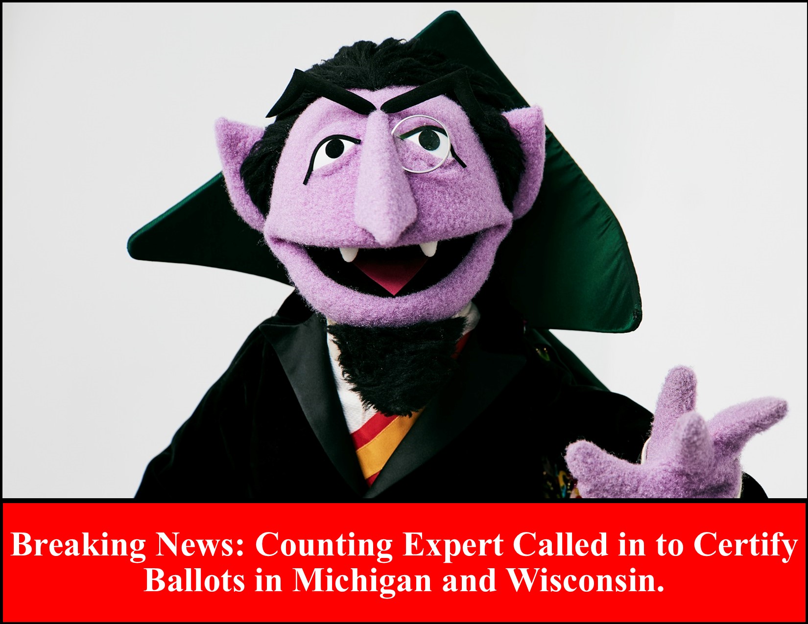 Ballot Counting Expert.jpg
