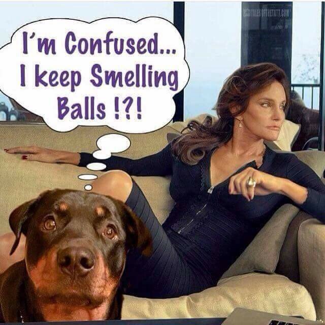 balls.jpeg