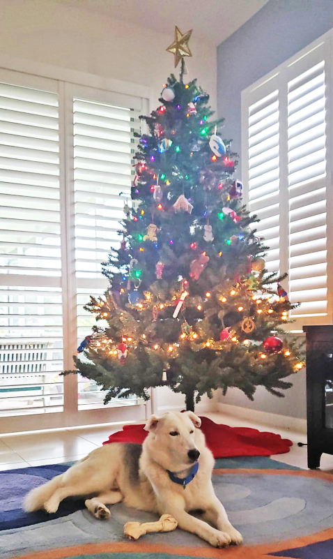 Balto Christmas (4).jpg