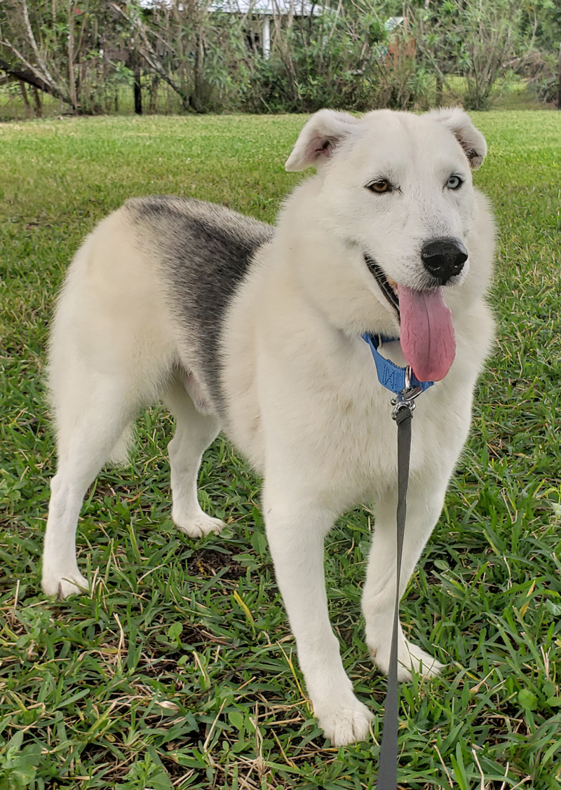 Balto-outside.jpg