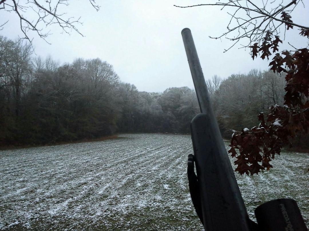 Bama hunt.jpg