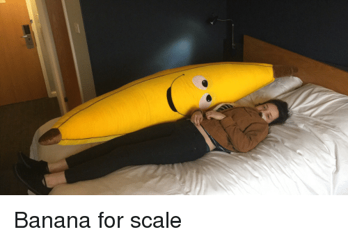banana-for-scale-5669018.png