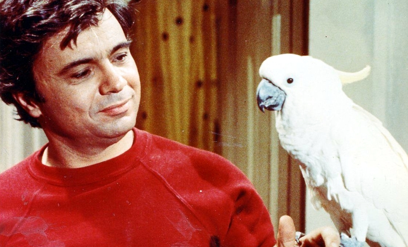 baretta000.jpg