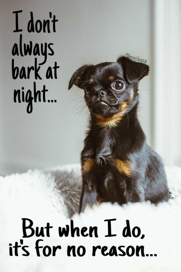 bark.jpg