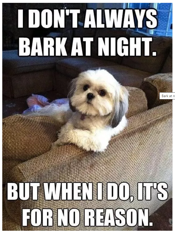Bark.png