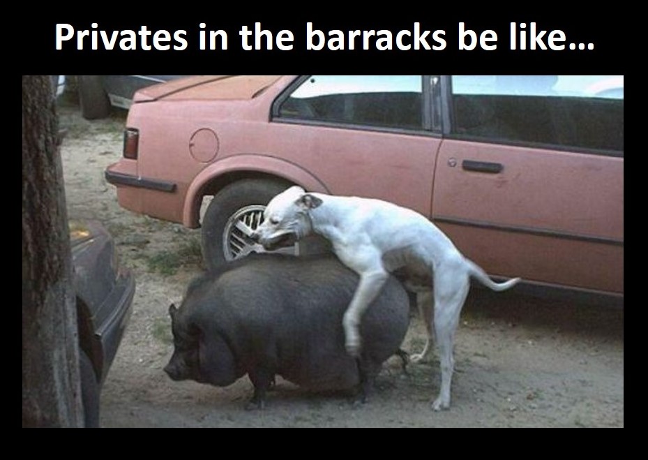 Barracks fat girl.jpg