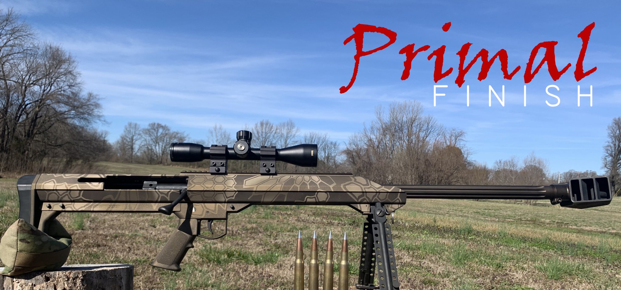 barrett1.jpg