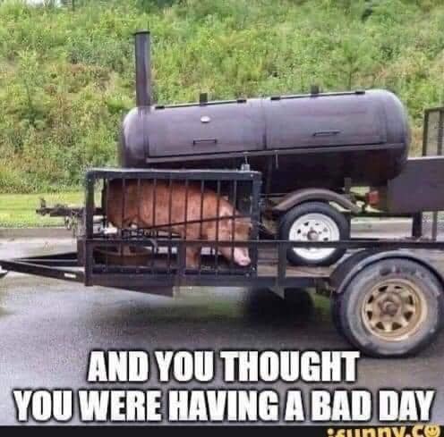 bbq2.jpg