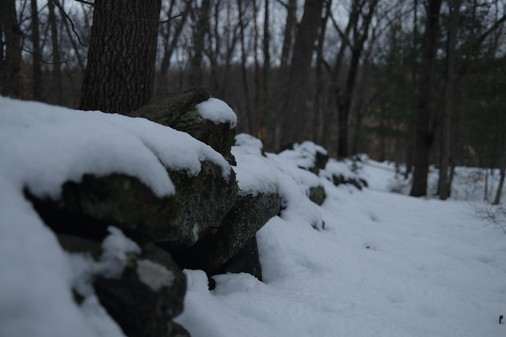 BC17B81D-D4E5-4E46-9A26-8C712C6D1051.jpeg