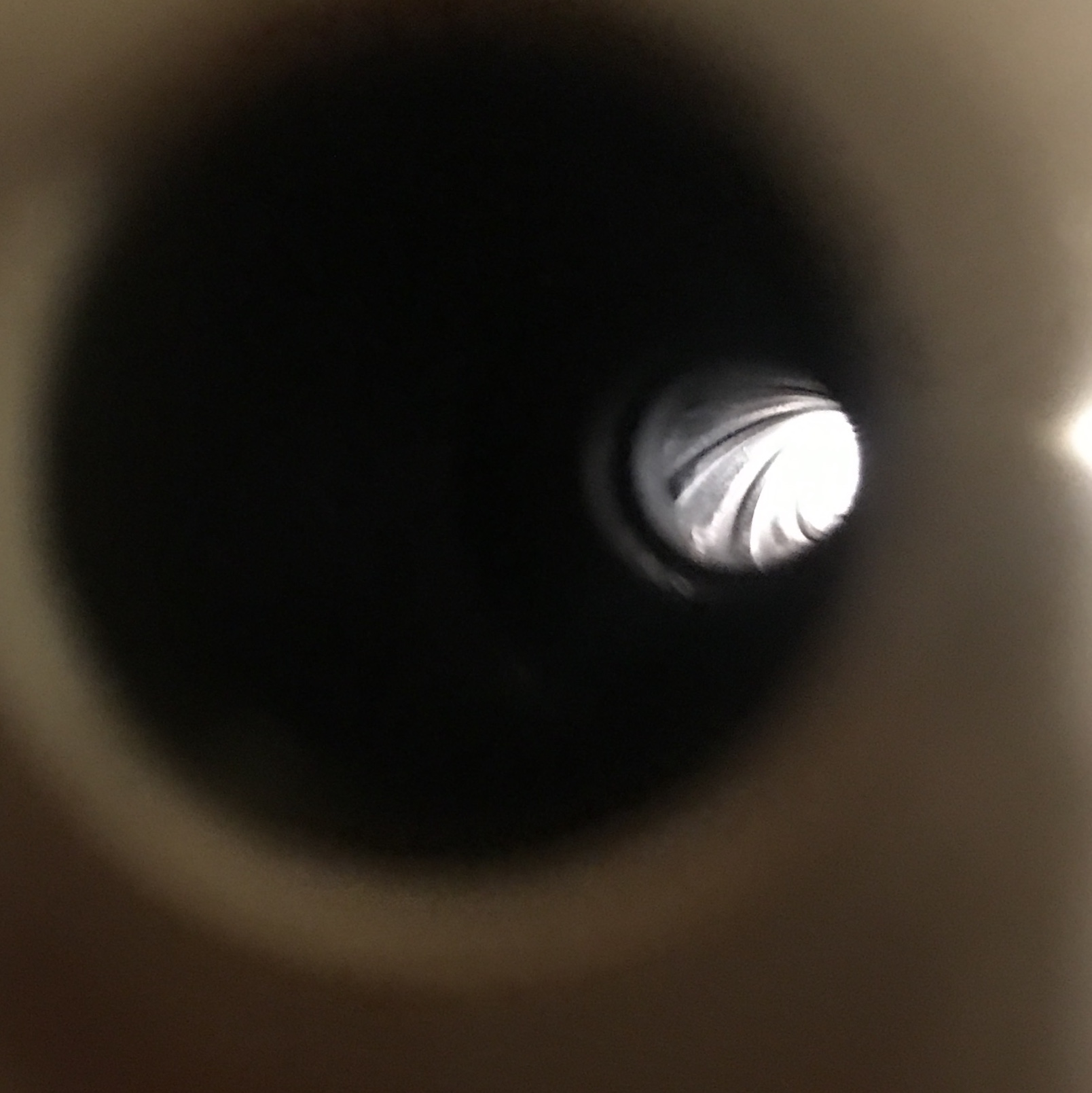 BC7C3A25-9661-461C-AF66-A0BF25856BE2.jpeg
