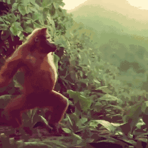 BCB6D55A-6E56-4BC2-95DF-E14611BCA685.gif