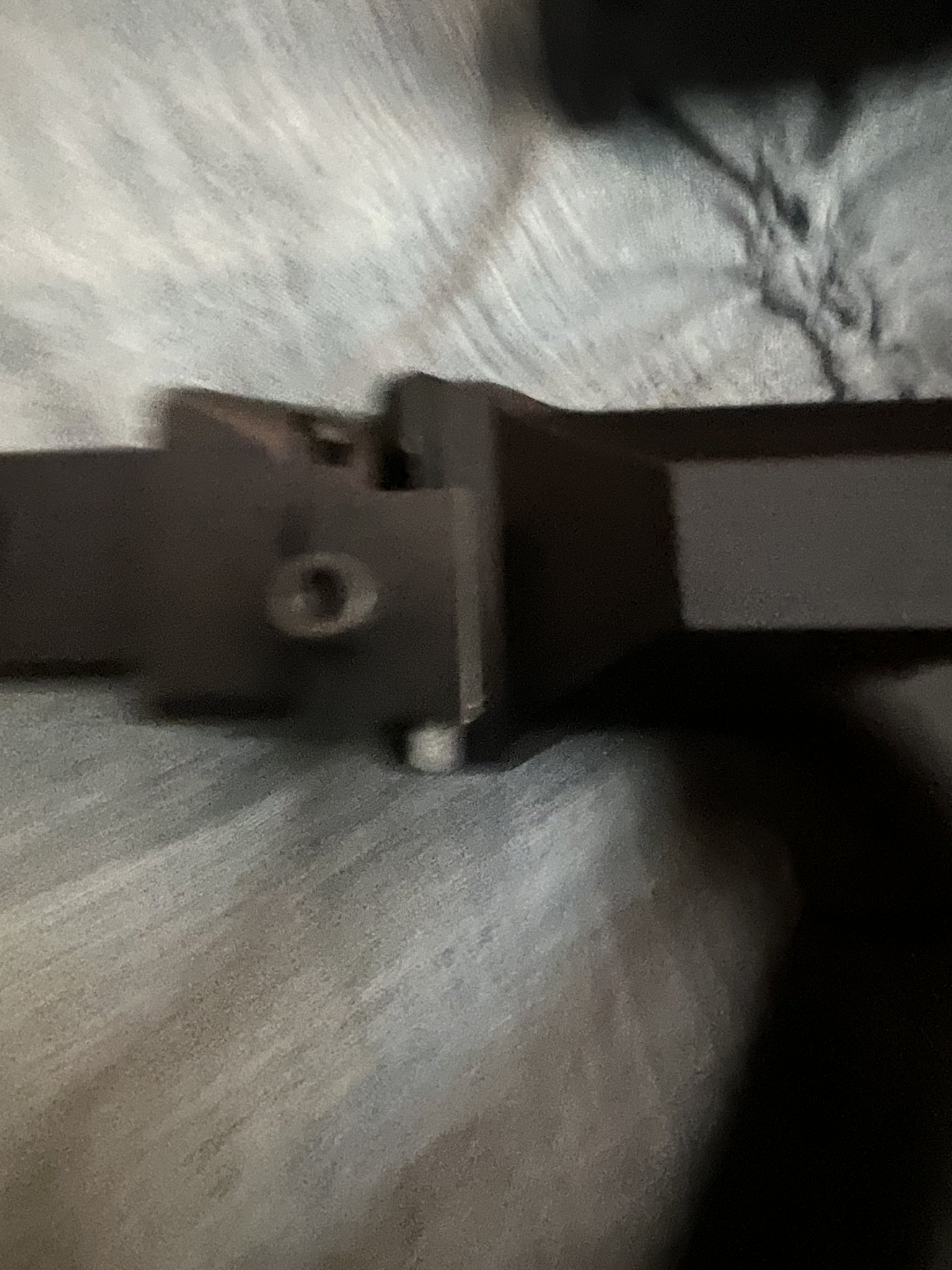 BCFAA683-2317-4249-B95C-1739F97D748E.jpeg
