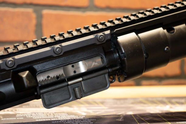 bcg.jpg