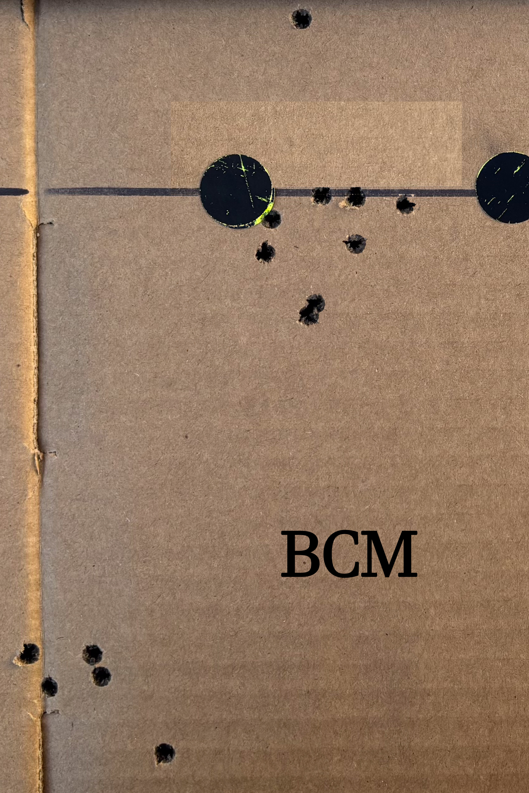 BCM Composite.jpg