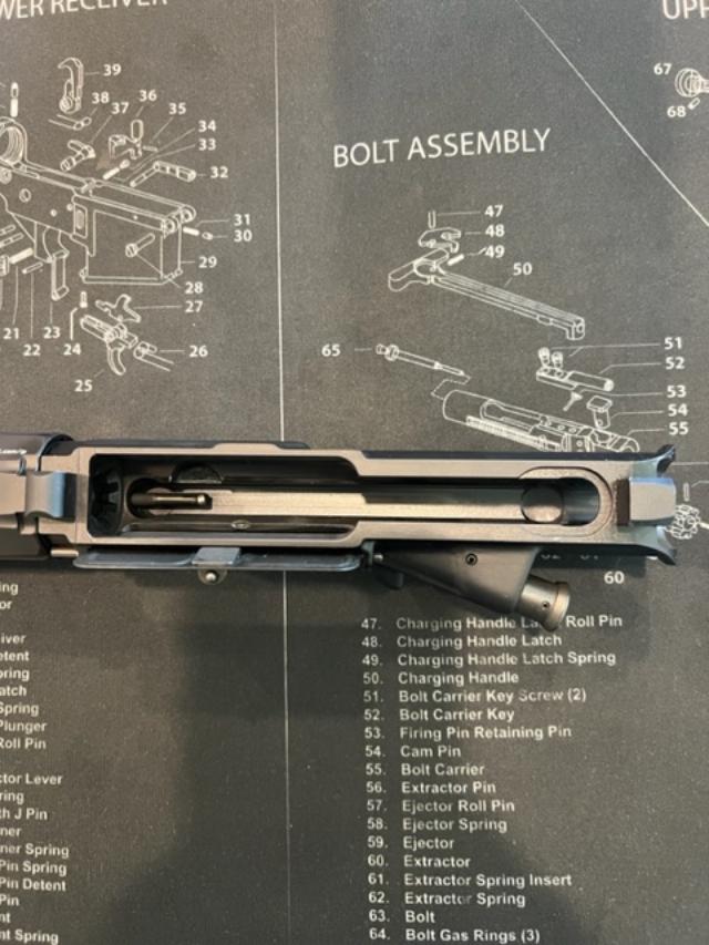 bcm5.jpg