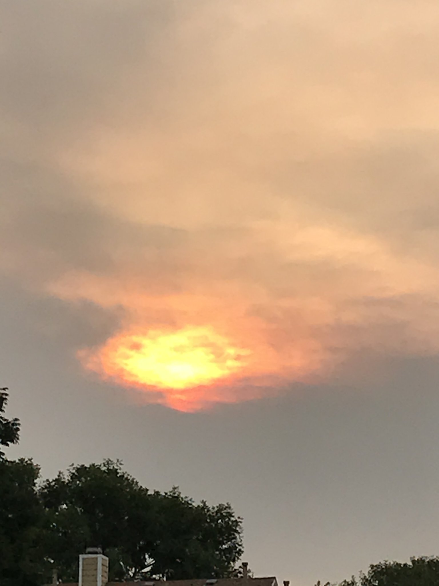 BD136559-8A24-4D01-912E-9BC5E685AFBA.jpeg