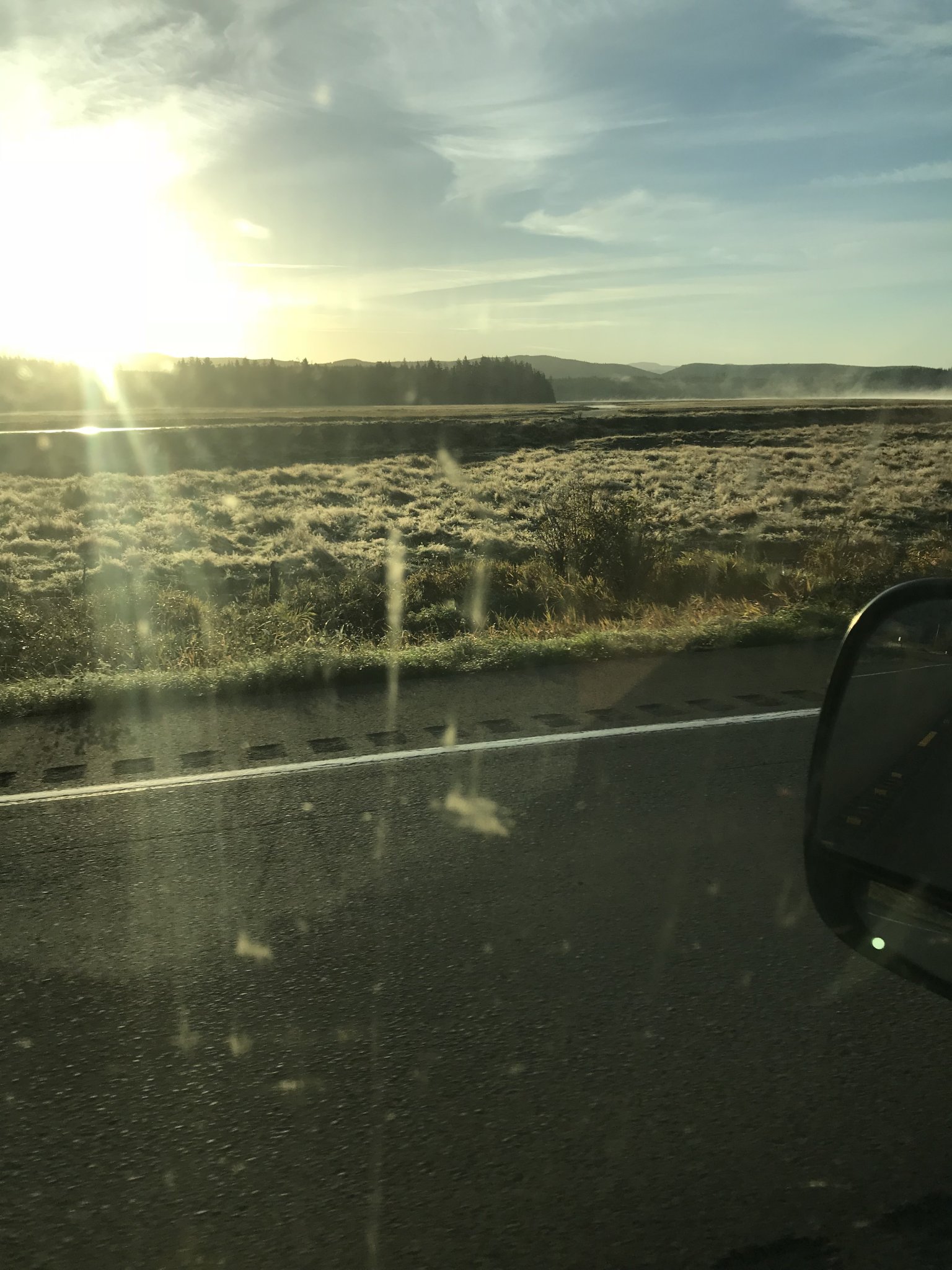 BD256D61-481C-4806-AF63-22BB43CBB0F6.jpeg