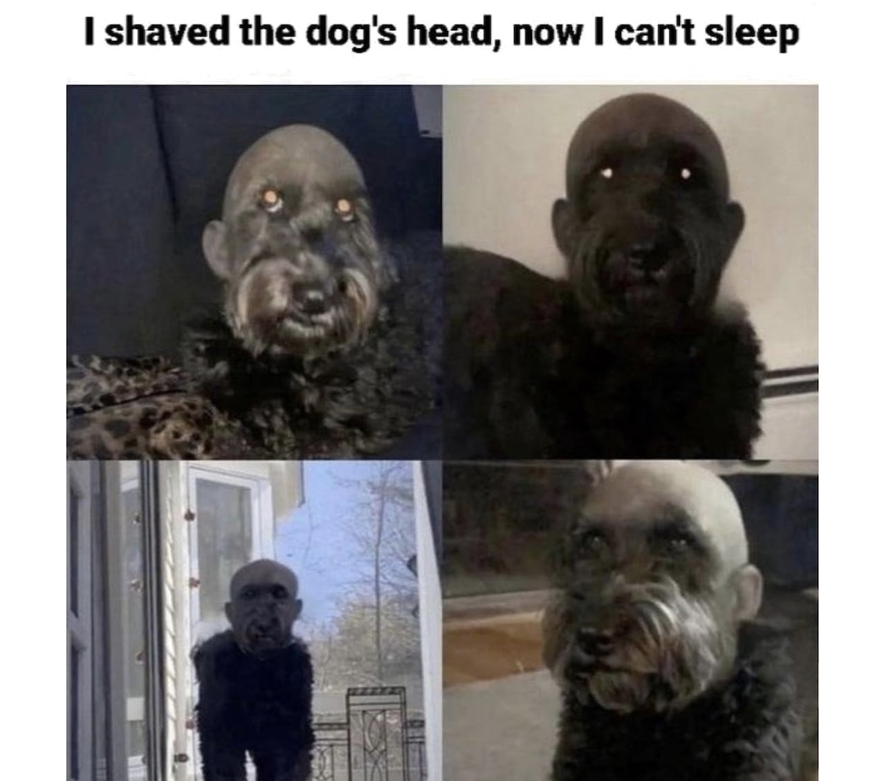 BD488C22-096D-46DA-A534-499E643E17F7.jpeg