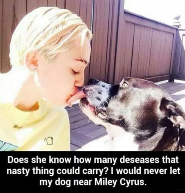 Be-careful-with-your-dog.jpeg