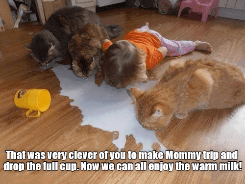 BE1F1E6C-2CEE-409E-A2B1-09F2C90BE6A4.png