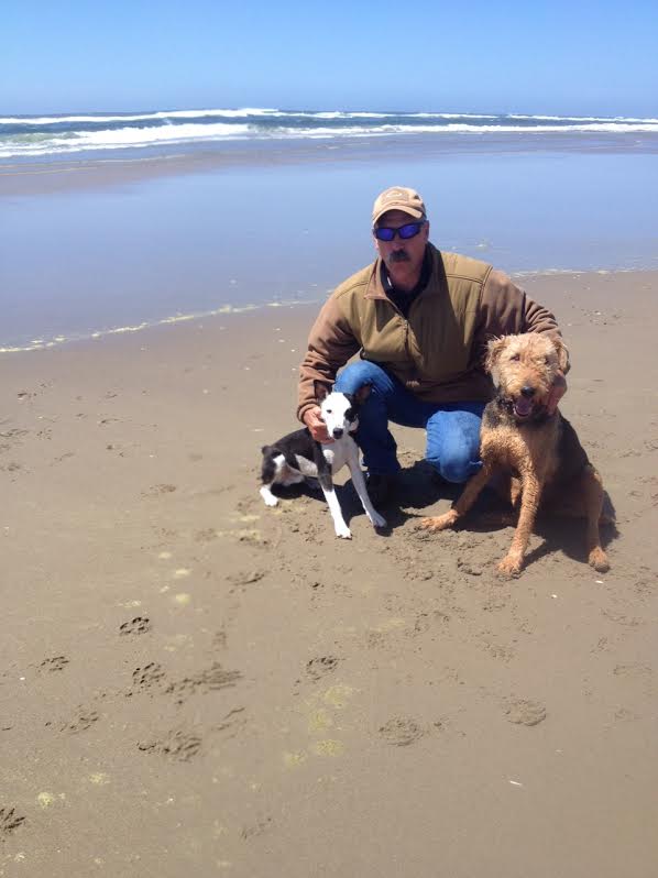 beachpups.jpg