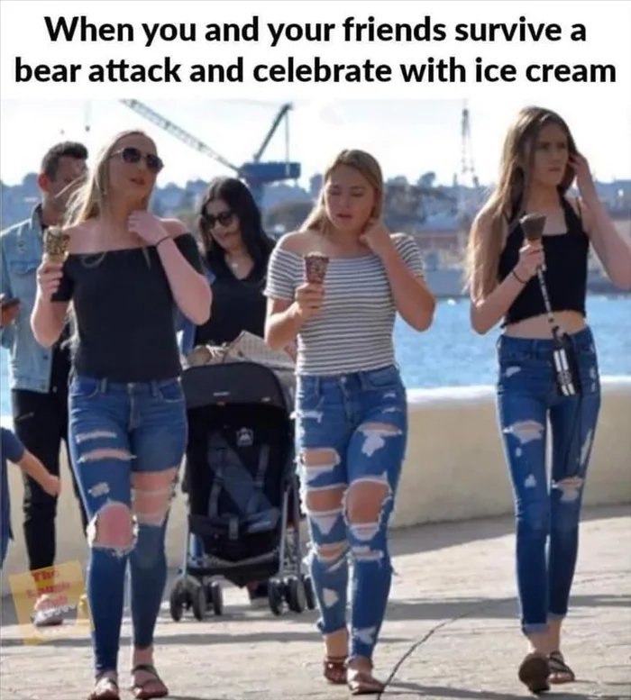 Bear Attack.jpg