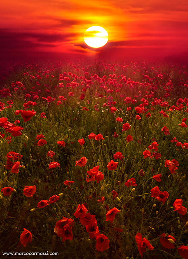 Beautiful-landscape-photography-3.jpeg