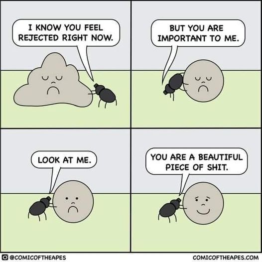 beautiful piece of shit.jpg