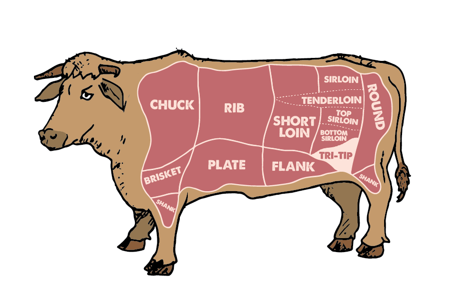 beef_cuts.png
