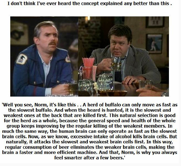 beer logic.jpg