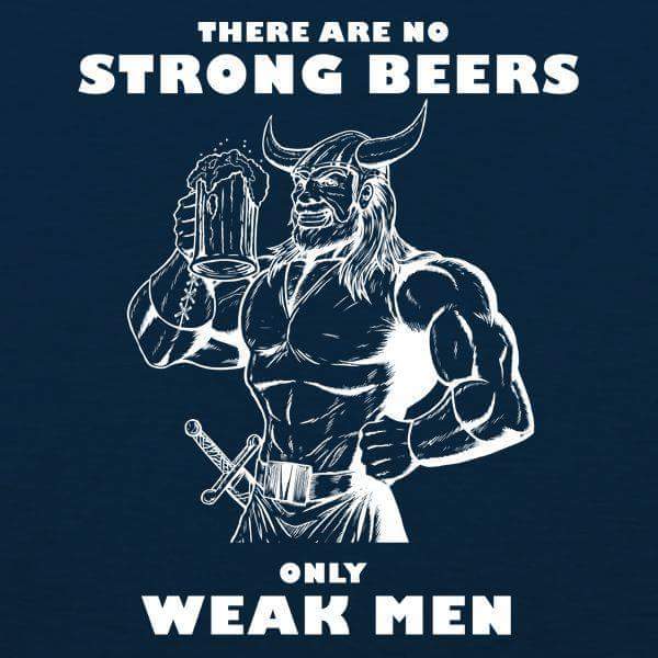 beer viking.jpg