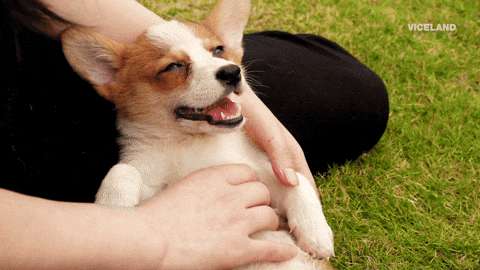 Belly RUb.gif