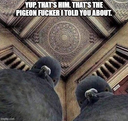 benderpigeon1.jpg