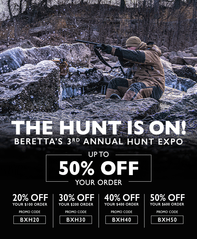 beretta50.gif