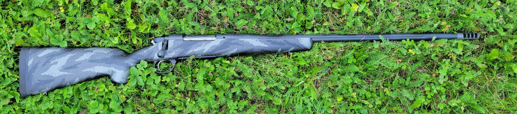 Bergara1.jpg