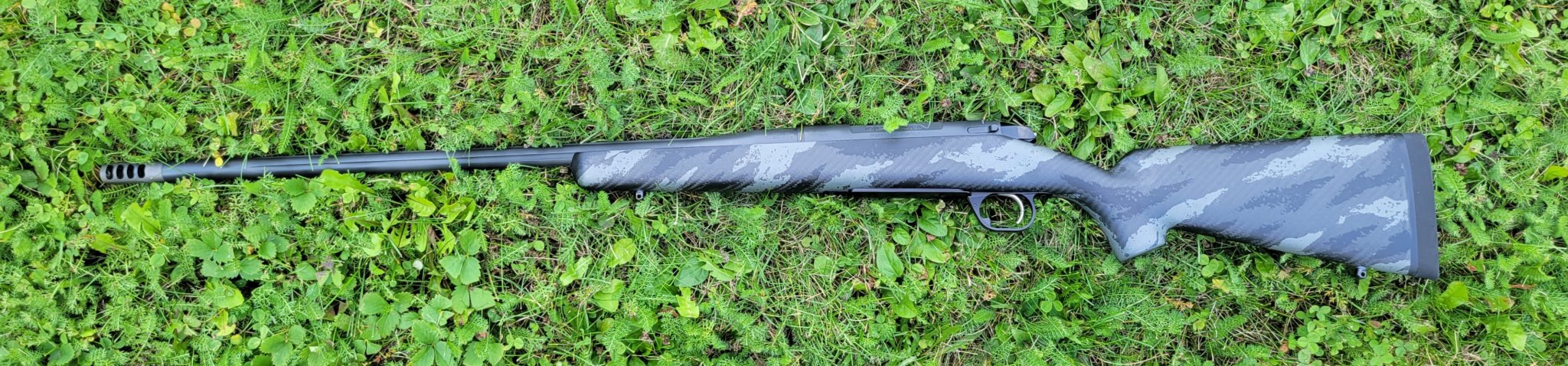 Bergara2.jpg