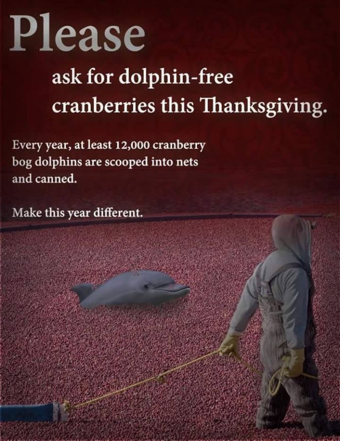 berry-775475.jpg