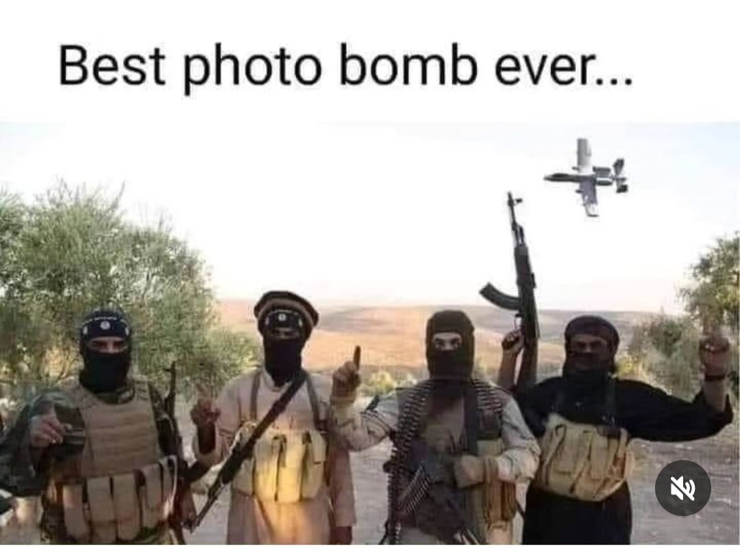 Best Photo Bomb.png