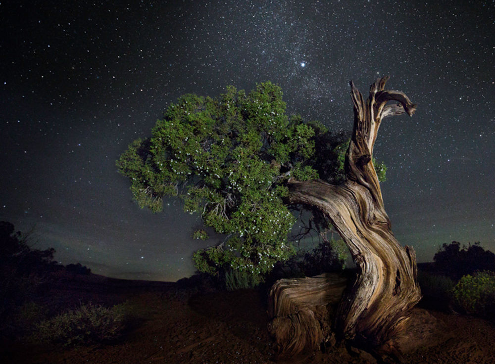 beth moon.jpeg