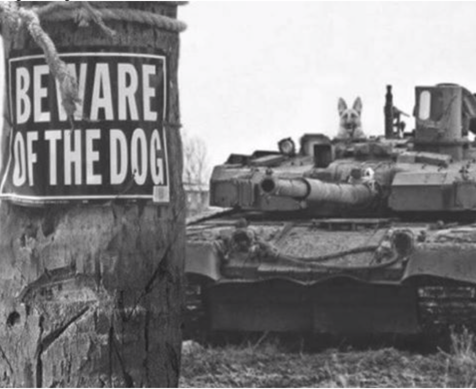 beware of the dog.png