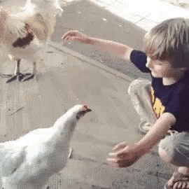 BFB1F79E-A76E-46A9-BAAA-111D800CE0AA.gif