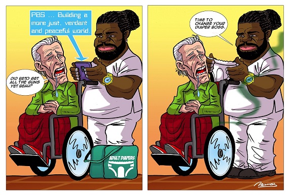 Biden gun strip LLR.jpg