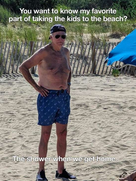Biden-Meme-549x730.jpeg