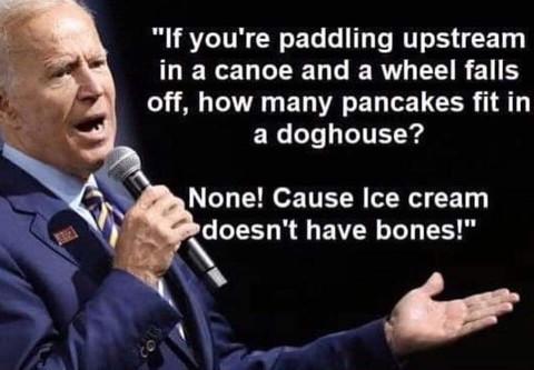 biden meme1.jpg