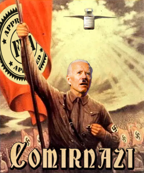 biden_comir.png