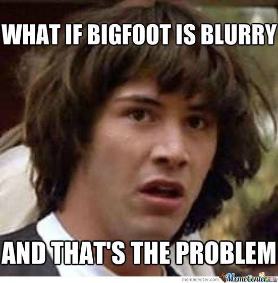 bigfoot-is-blurry_o_1029769.jpg