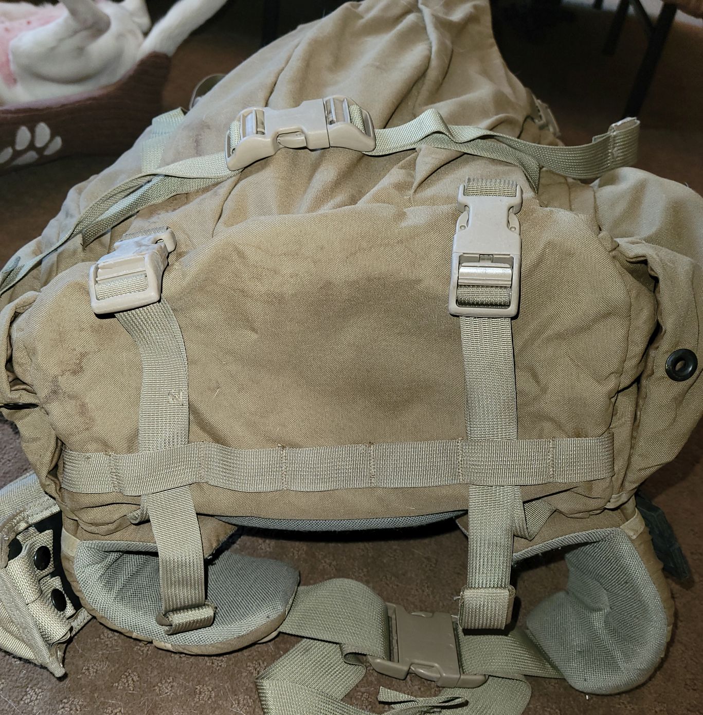 SOLD Mystery Ranch Bighorn 1 3 Day Pack Sniper s Hide Forum