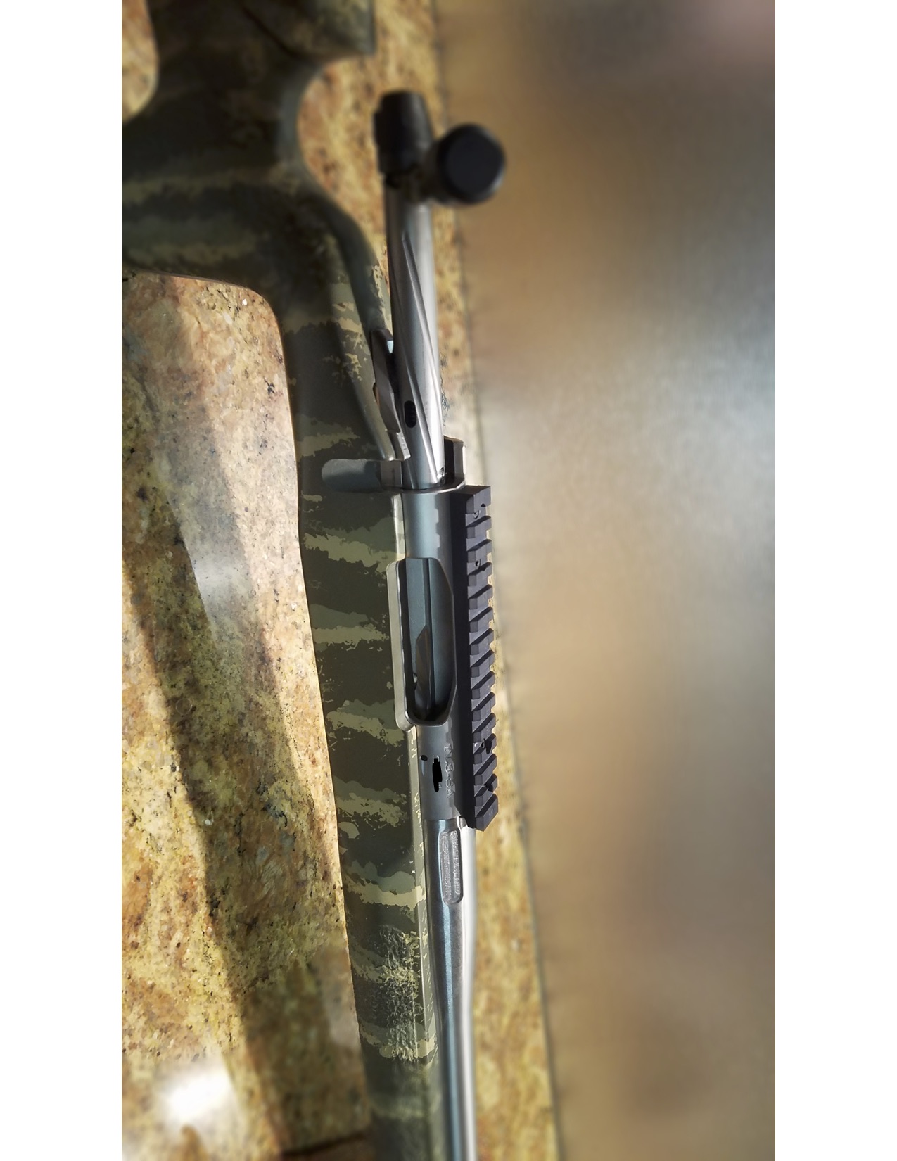 bighorn3.jpg