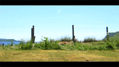bike flip.gif